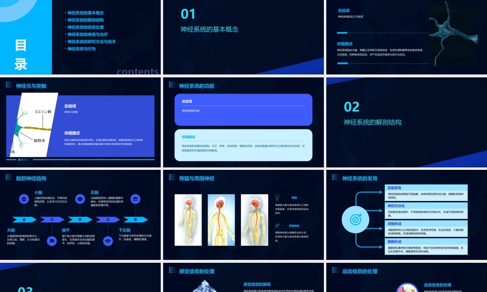 神经系统概论通用课件