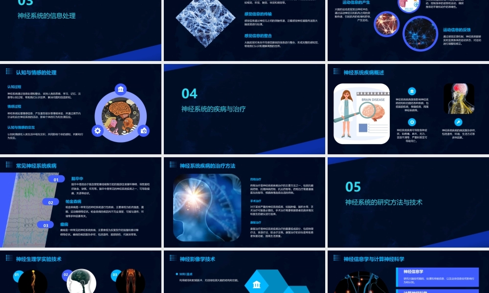 神经系统概论通用课件