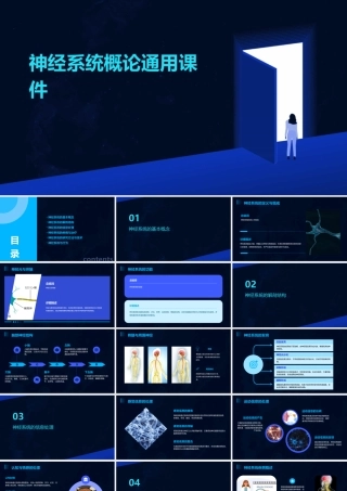 神经系统概论通用课件