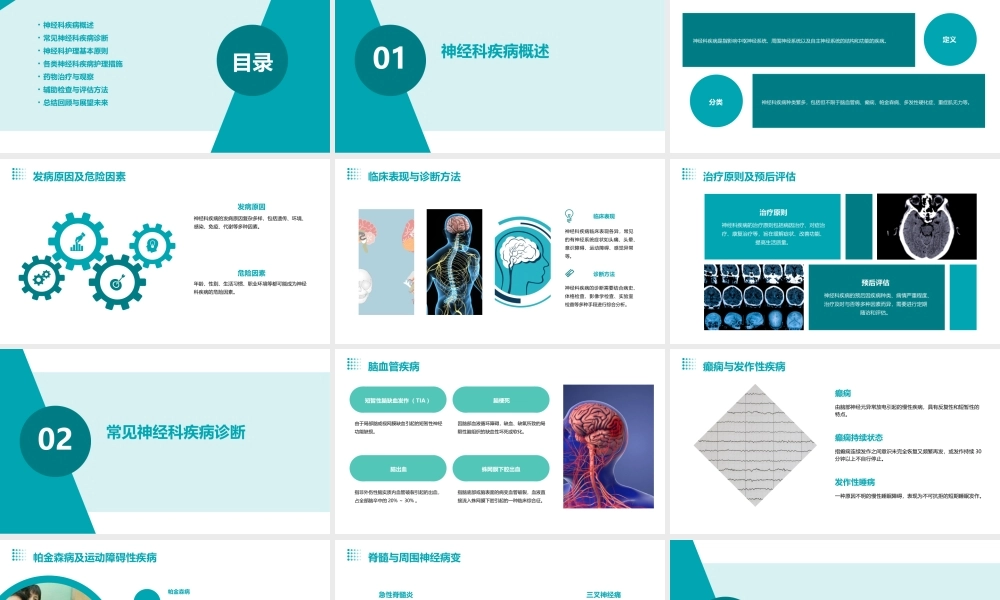 神经科疾病诊断与护理