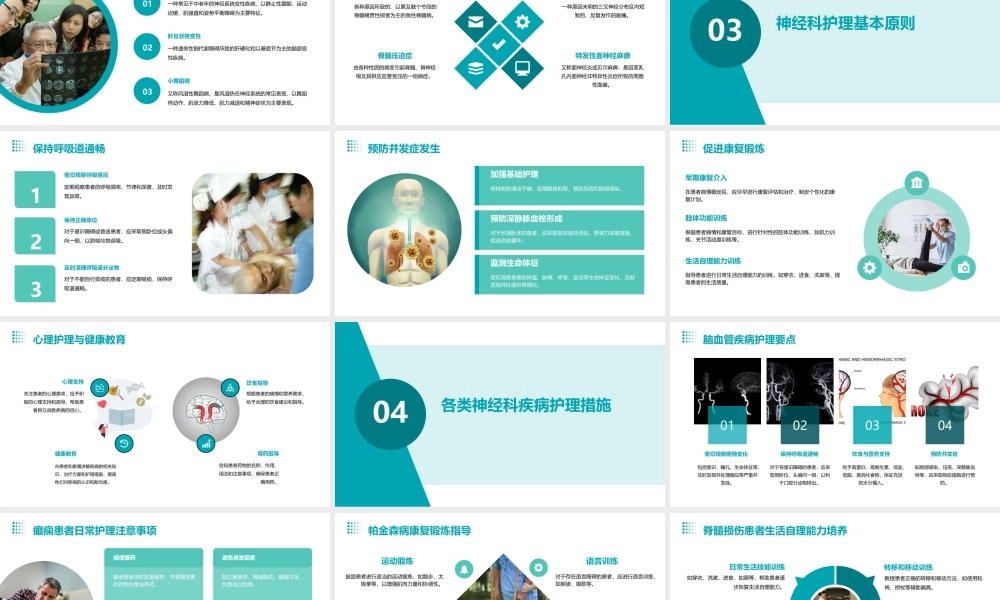 神经科疾病诊断与护理