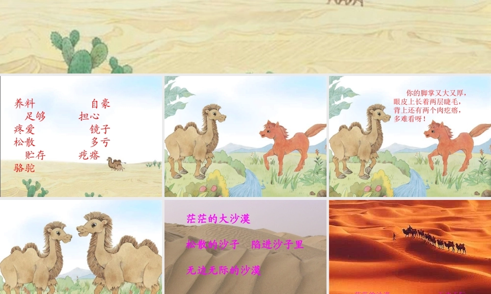 四年级语文上册第五组第一课时课件《我应该感到自豪才对》