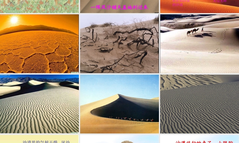 四年级语文上册第五组第一课时课件《我应该感到自豪才对》