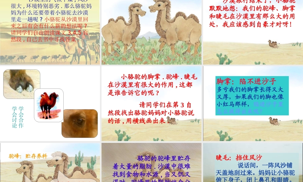 四年级语文上册第五组第一课时课件《我应该感到自豪才对》