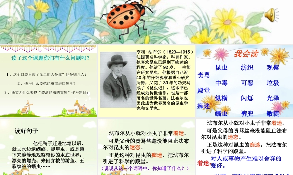 装满昆虫的衣袋课件 (2)
