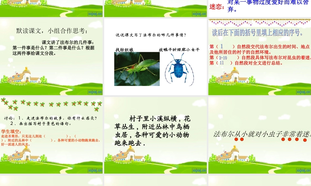 装满昆虫的衣袋课件 (2)