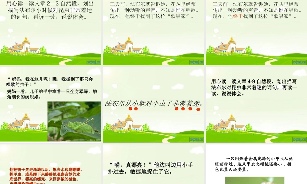 装满昆虫的衣袋课件 (2)