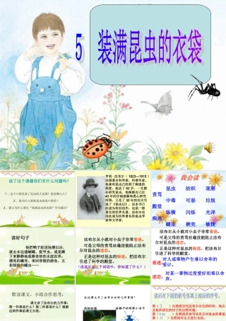 装满昆虫的衣袋课件 (2)