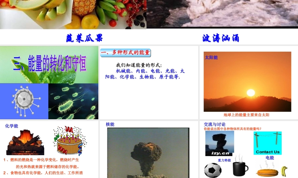 第十四章三、能量转化和守恒课件ren