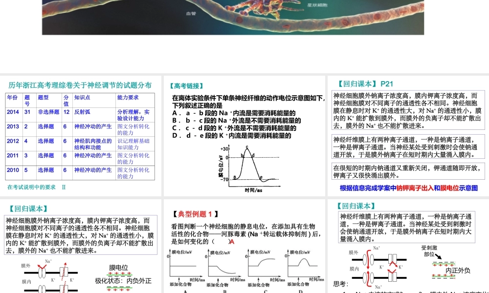 《神经调节》++一轮复习（共20张）