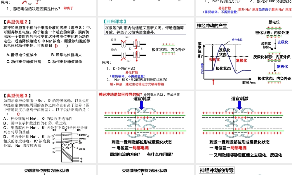 《神经调节》++一轮复习（共20张）