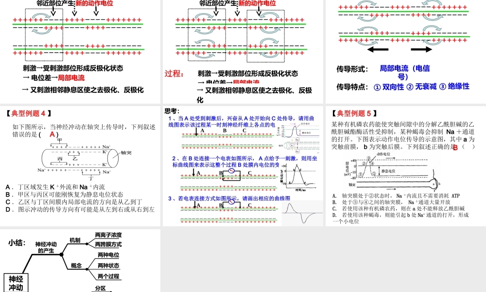 《神经调节》++一轮复习（共20张）