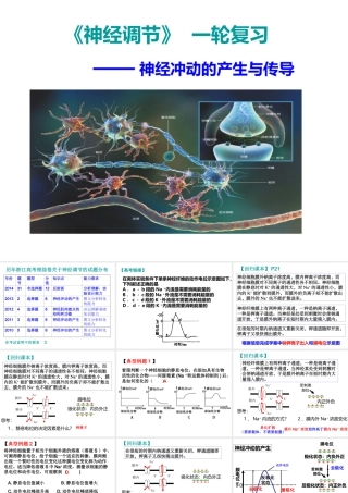 《神经调节》++一轮复习（共20张）