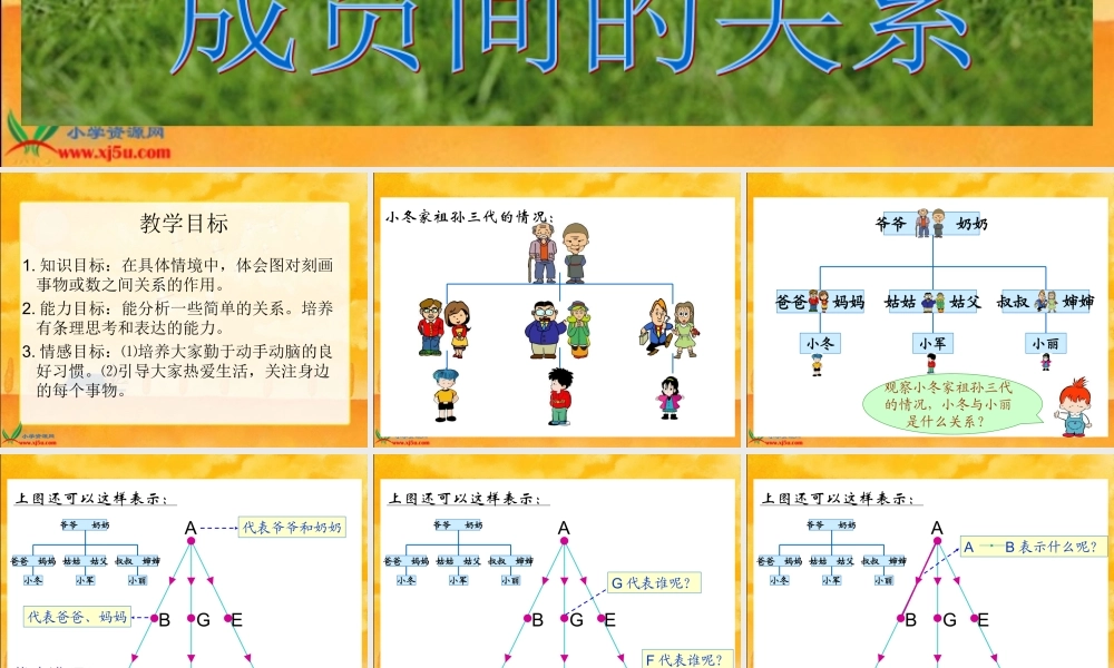 《成员间的关系》课件