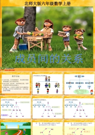 《成员间的关系》课件