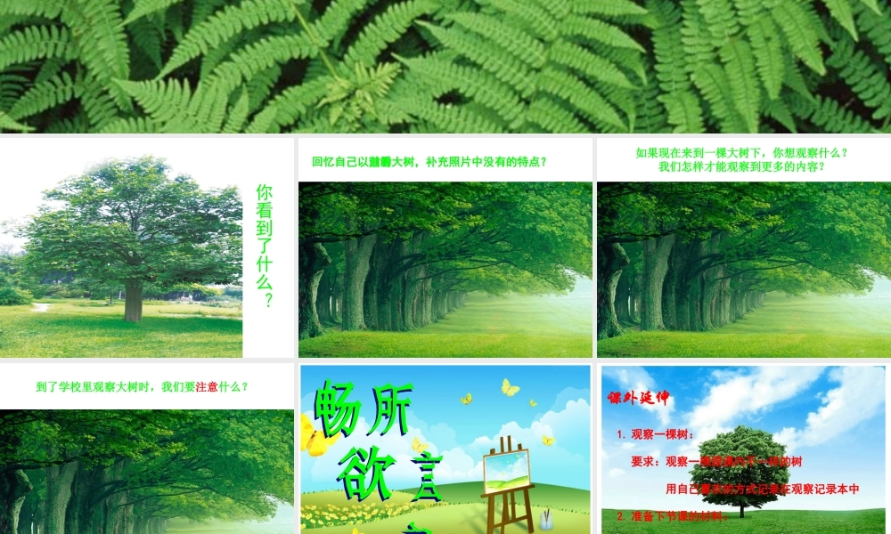 我看见了什么课件