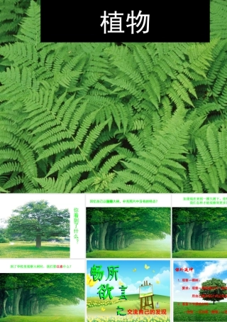 我看见了什么课件