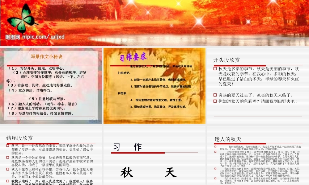 秋天的景色作文课件