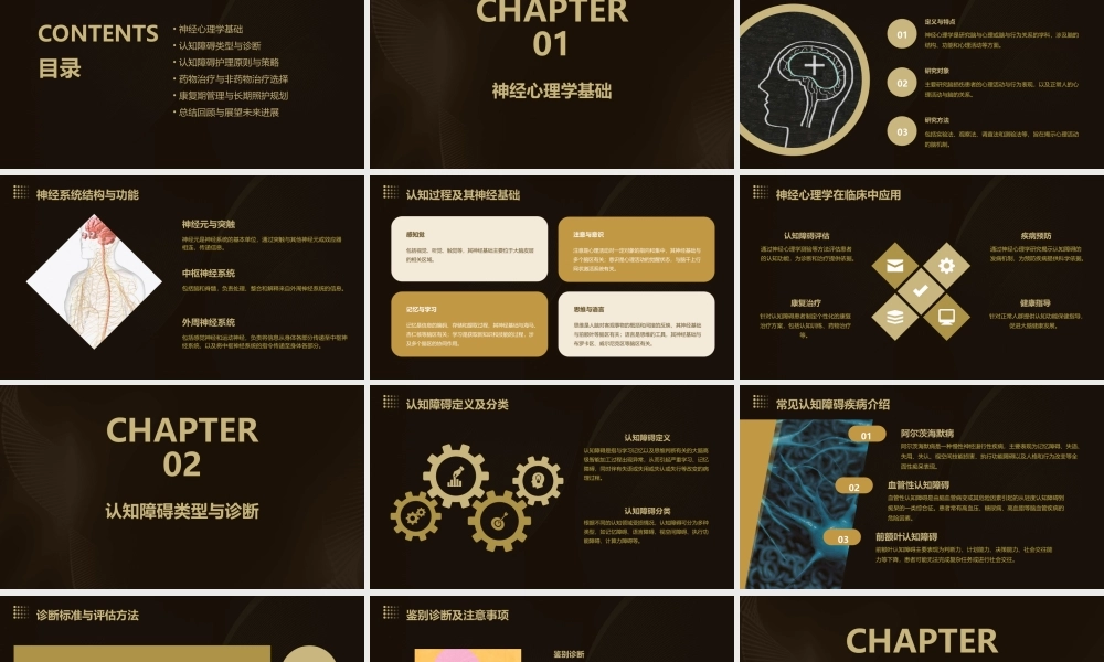 神经心理学与认知障碍护理课件