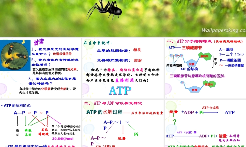 第二节细胞的能量“通货”－ATP