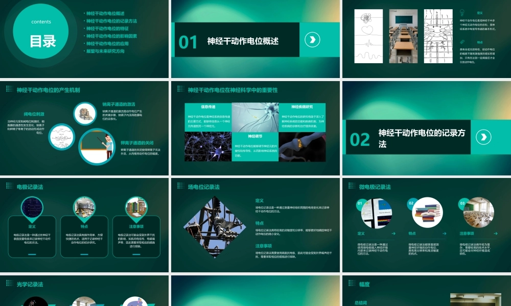 神经干动作电位课件