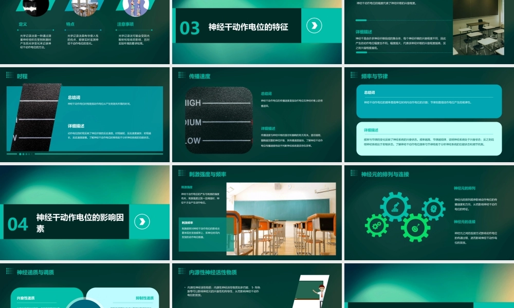 神经干动作电位课件