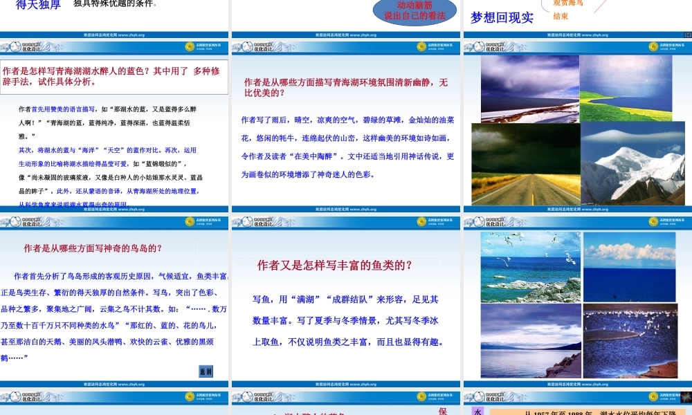 青海湖梦幻般的湖