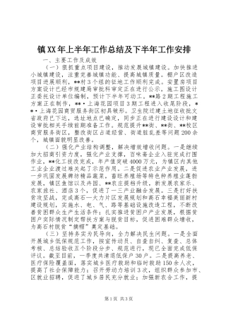 镇XX年上半年工作总结及下半年工作安排