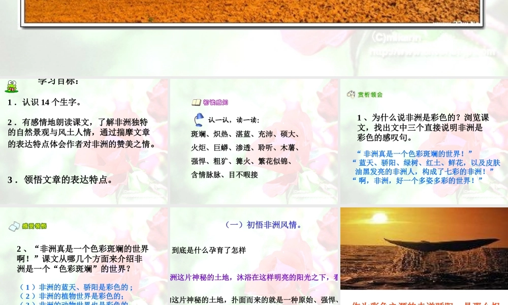 《彩色的非洲》课件
