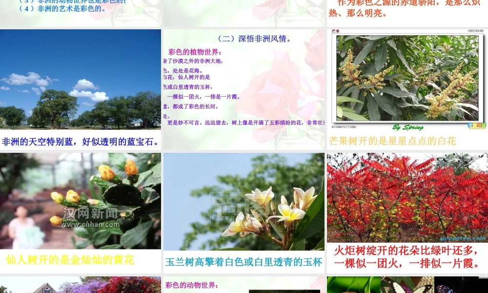 《彩色的非洲》课件