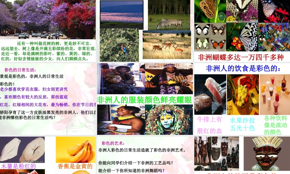 《彩色的非洲》课件
