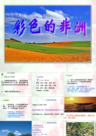 《彩色的非洲》课件