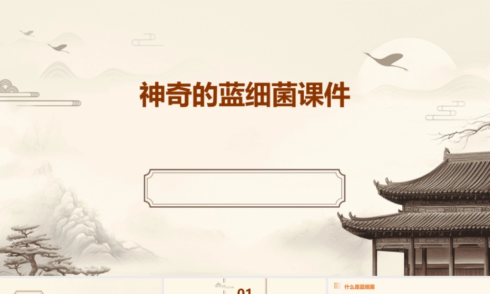 神奇的蓝细菌课件