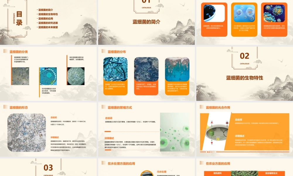 神奇的蓝细菌课件