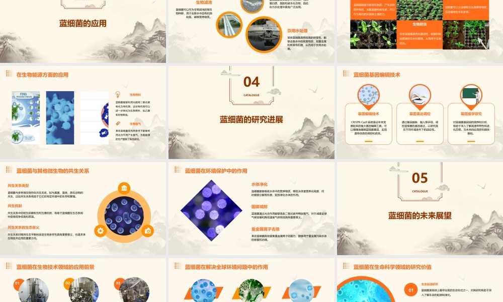 神奇的蓝细菌课件