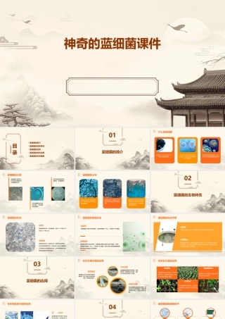 神奇的蓝细菌课件