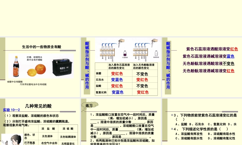 课题1酸和碱的课件(1)
