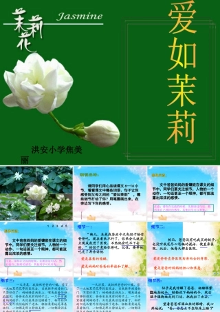 《爱如茉莉》课件
