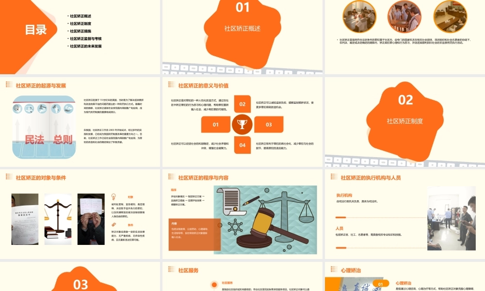 社区矫正实施办法课件