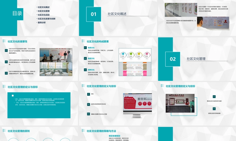 社区文化管理课件