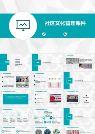 社区文化管理课件