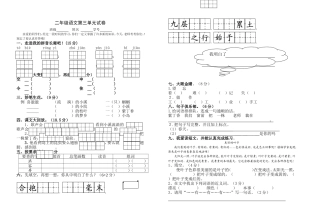 第三单元试卷