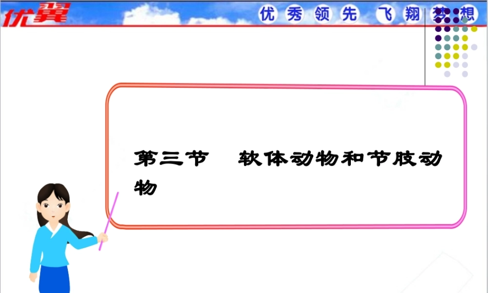 软体动物和节肢动物