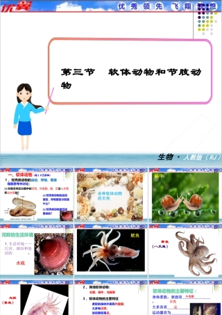 软体动物和节肢动物