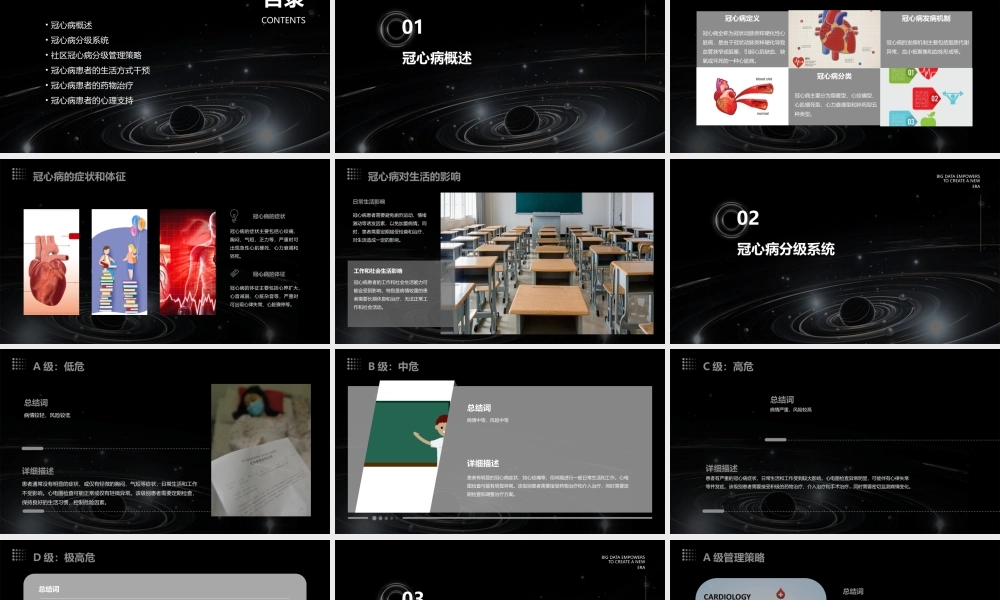 社区冠心病的分级sh课件