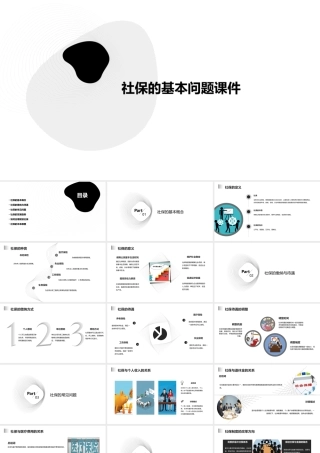 社保的基本问题课件