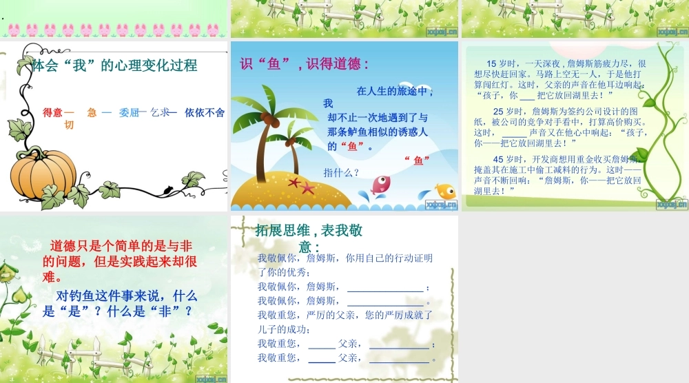 钓鱼的启示五（6）班赵芳