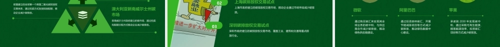 碳汇交易综述课件