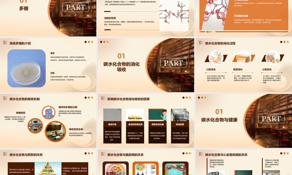 碳水化合物(三)课件