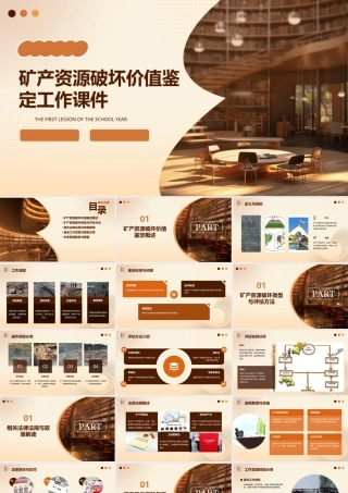 矿产资源破坏价值鉴定工作课件